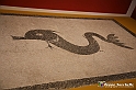 VBS_8994 - Mostra Invito a Pompei